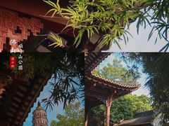 -顺峰山公园