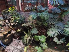 -聚缘堂·海鲜私房菜(松岭路店)
