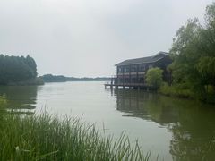 -苏州太湖国家湿地公园
