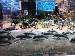 -KKV(深圳宏发大仟里店)