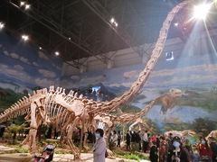 -自贡恐龙博物馆