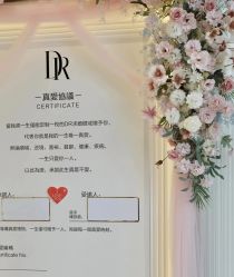 -DR钻戒(南宁会展航洋城店)