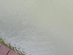-石塘人家