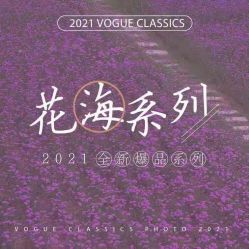 -薇咖映画婚纱摄影工作室