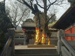 -少林寺景区