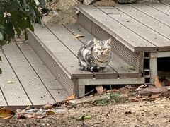 -东钱湖小普陀景区