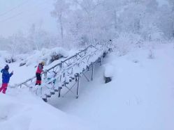 -大秃顶子山