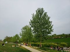 -洨河生态公园