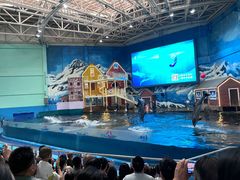 -西安曲江海洋极地公园