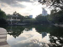 -晓港公园