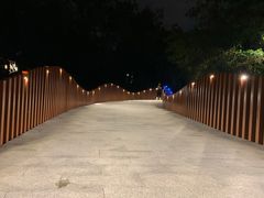 -青枫公园