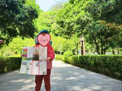 -上海佘山国家森林公园天马山园