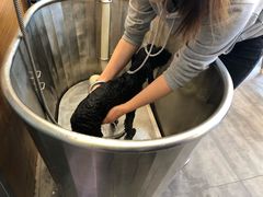 -PETKIT小佩宠物(古北店)