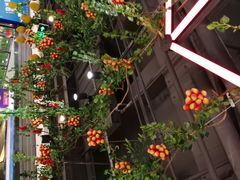 -盒马鲜生(顺义店)