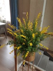 -百秀名媛纹绣美学护肤中心