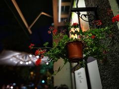 -婕妮璐超市 Jenny Lou’s Shop(三里屯店)