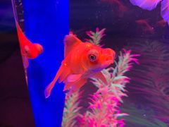 -梦幻海洋王国(吾悦广场张家港店)