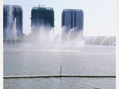 -南翔镇银翔湖公园