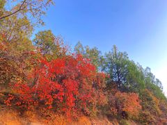 -北京西山国家森林公园
