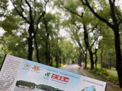-东湖生态旅游风景区
