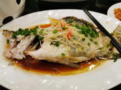-北京望京华彩智选假日酒店