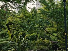-龙头寺公园