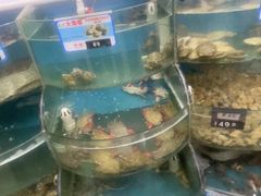 -叶存利海鲜大馅饺子(海宁路总店)