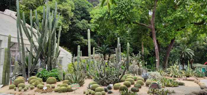 荫生植物园-"这个植物园在人民公园里,今天是第一次进去.