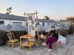 -苏州市吴中区光福窑上花果蜜饯厂