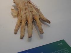 -生命奥秘博物馆