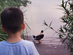 江鳗-木守西溪溪隐餐厅