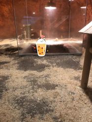 -酷嗒动物文化乐园(cutezoo西溪乐天城店)