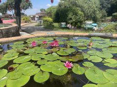 -广州莲花山旅游区