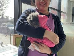 -北京派仕佳德动物医院·超导核磁·CT·神经科·骨科·内外科·急重症管理中心