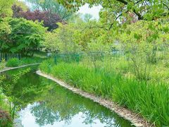 -上海共青森林公园