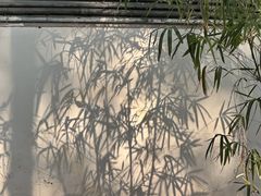 -秋霞圃