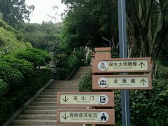 -青礁慈济宫