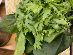 蔬菜拼盘-阳坊胜利涮羊肉(阳坊老店)