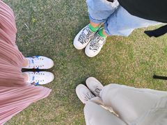 -春花秋色城市公园