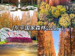 -东平国家森林公园