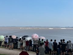 -观潮胜地公园
