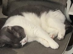 -来客家食府 · 福建客家菜