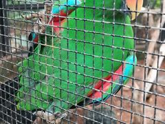 -海南热带野生动植物园