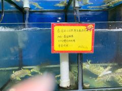 水产区-蚝专家(北滘店)