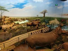 -陕西自然博物馆