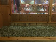 -汤W城市微度假(仓山店)