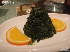 万年青-四季春
