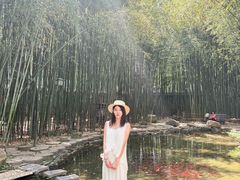 -竹泉村旅游度假区
