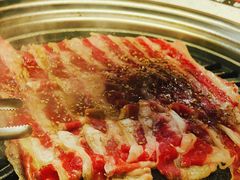 -猫抓烤肉(春熙路店)