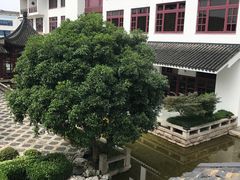 -苏州吴宫泛太平洋酒店